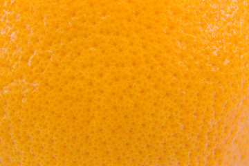 close up grapefruit or orange peel texture