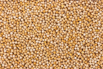 Dry peas background or texture