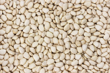 White kidney beans background. Dry legumes texture