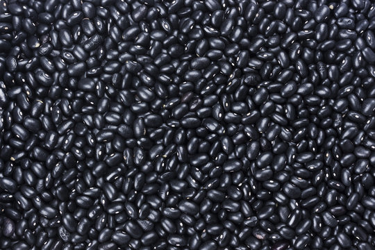 Black kidney beans background. Bean pattern