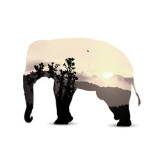  Silhouette of elephant with african savannah and pastel tones sky. Sunset.