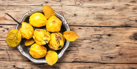 Autumn harvest of quince.