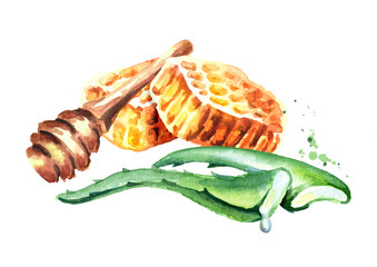 Naklejka premium Honey and Aloe. Watercolor hand drawn illustration