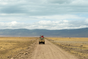 Open roof 4x4 safari caron african wildlife safari in Tanzania, Africa