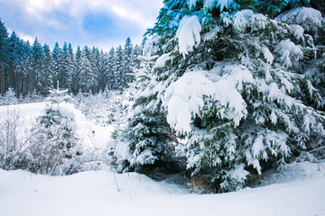 Winterlandschaft