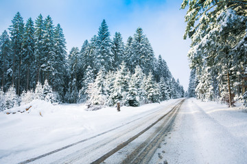 Winterlandschaft im Wald