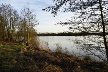 Windstiller See im Winter, Windstiller lake in winter
