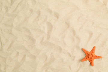 Fototapeta na wymiar Seashells on sand with white paper in center