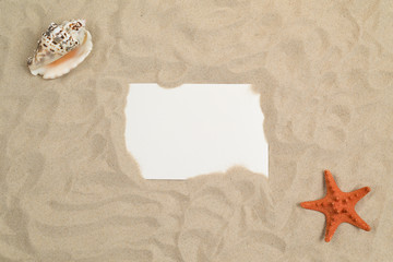 Seashells on sand with white paper in center
