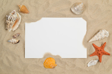 Seashells on sand with white paper in center