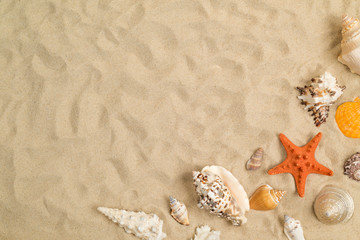 Seashells on sand with white paper in center