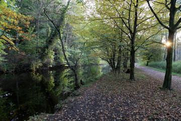 Alsterwanderweg Hamburg am Alsterlauf im Herbst