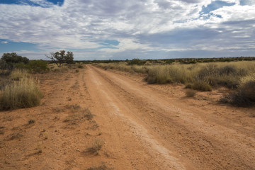 Fototapeta na wymiar Hay River Track in the Simpson Desert, Northern Territory, Australia