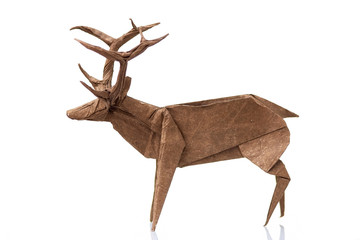 Origami reindeer design on white. Detailed figurine of horned animal, paper wet-folding technique.
