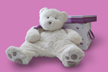 Teddy bear and a gift box on a pink background