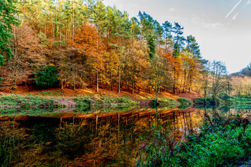 Autumn Reflection