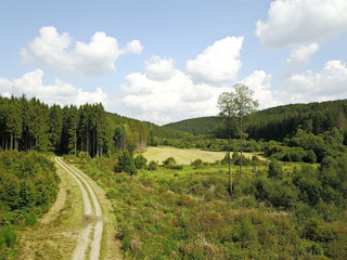 Fototapeta na wymiar Ardennes Wallonie Belgique paysage bois environnement nature vert naturel campagne rurale 