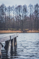 Naklejka premium Wooden pier on the shore of the lake