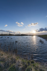 Deutschland, Ostfriesland, Landschaft bei Emden