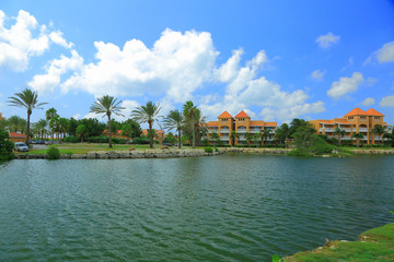 Fototapeta premium Beautiful landscape. View of lake with palm trees and blue sky with white clouds on background. Aruba island. Beautiful nature background.