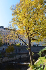 Historische Gebäude in Karlsbad (Karlovy Vary) Tschechien