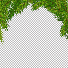 Christmas vector tree decorative frame with transparent background. Realistic pine branches illustration - 181386758