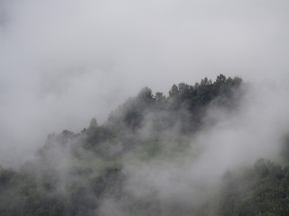 Fog at the village in the carpatian mountains