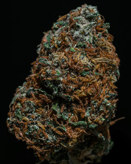 Cured Cannabis Bud Shot