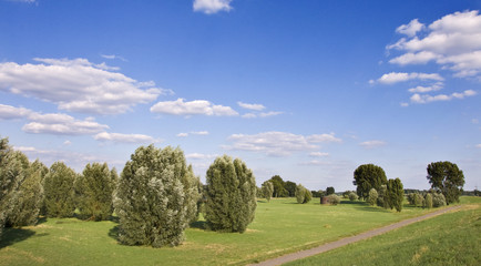 Rheinaue bei Zons am Rhein