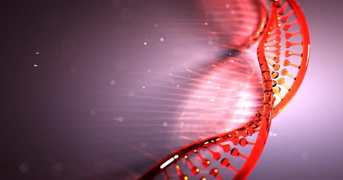 dna strand structure seamless loopable animation  4k UHD