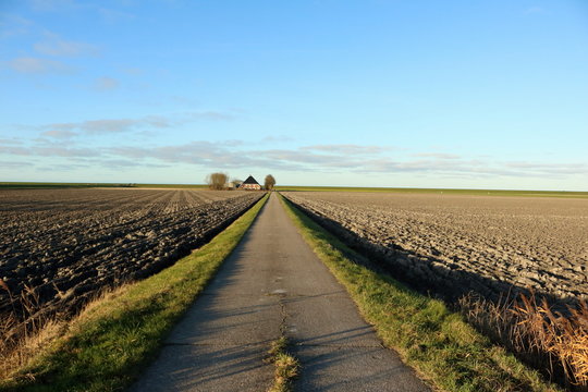 De lange weg naar huis