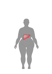a silhouette of a man with excessive weight is drawn a liver. vector illustration.