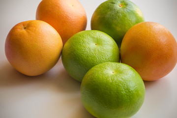 Healthy Grapefruits / different species.