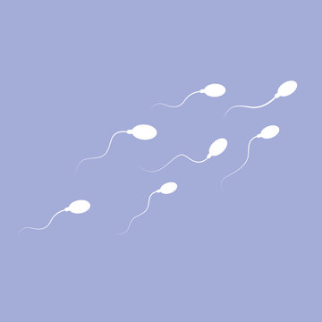 spermien schwimmen