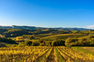 Fototapeta na wymiar Tuscany landscape at sunset in autumn. Chianti wine region, Italy.