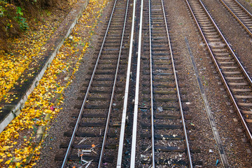Fototapeta premium train rails with high contrasted colors