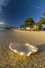 Samoa beach with fale bungalow sunrise © Libor
