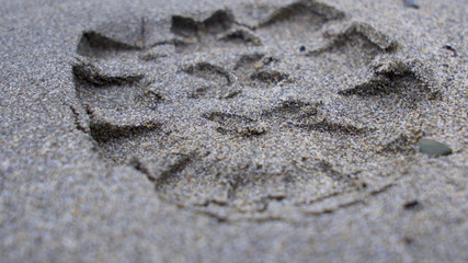Footprint in the sand