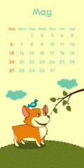 2018 may calendar with welsh corgi dog