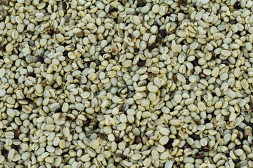 drying, pealing coffee beans