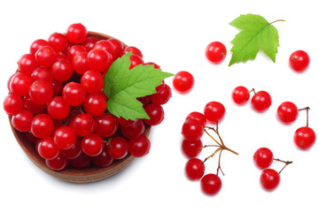 Red berries of Viburnum (arrow wood) in wooden bowl with green leaf isolated on white background top view