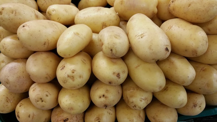 Potato for sale in the Market