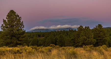 San Francisco Peaks Sunset: A Dark Forest