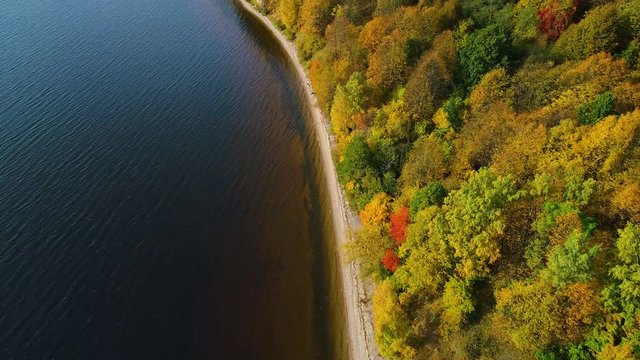 flight over lake and forest at autumn