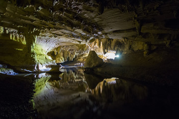 Waipu caves