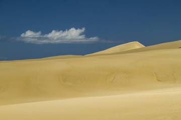 giant sand dunes