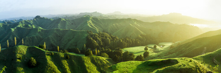 neuseeland grüne hügel