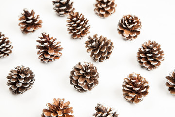 Fir tree cone on a white background abstract pattern