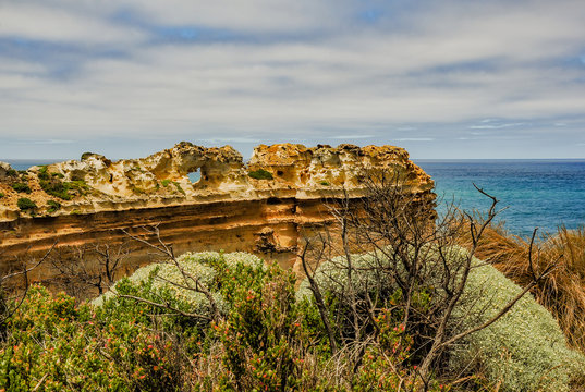 The great ocean road. National Park Campbell.