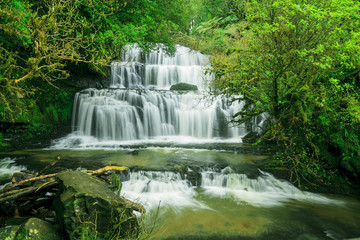 Obraz premium purakaunui falls new zealand